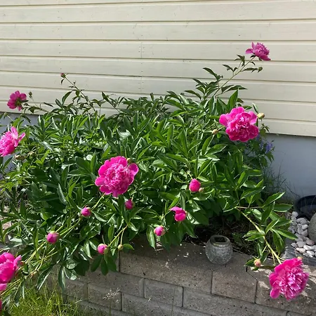 Cozy With Outside Jacuzzi & Sauna