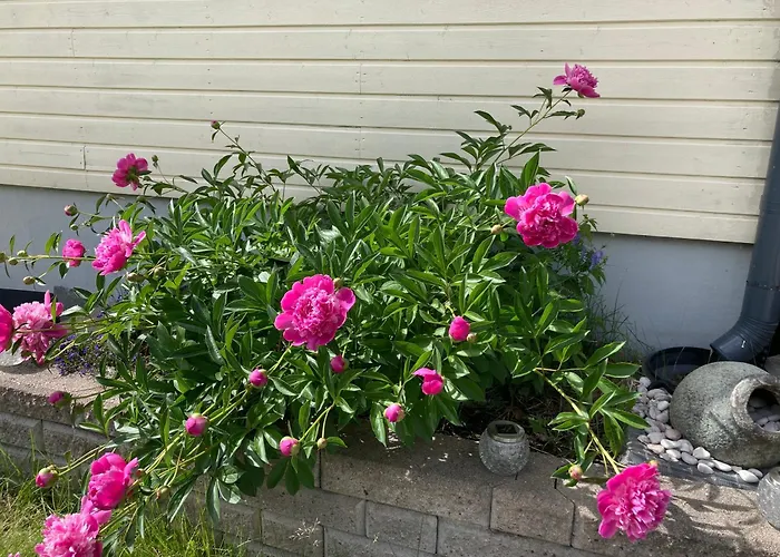 Cozy With Outside Jacuzzi & Sauna